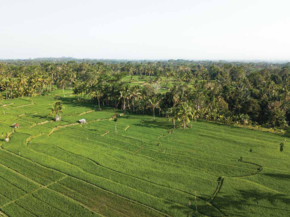 new generation land from the house of abhinandan lodha na villa plots the imperial goa hoabl